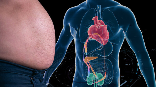 Cardiometabolic CKM Syndrome 3D Visualization: Integrated Heart, Kidney, and Pancreatic Health with 4D Flow MRI Data Overlays