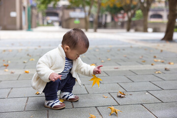 Baby picking up maple leaves outdoors in autumn