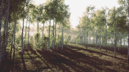Naklejka premium Golden sunlight bathes a tranquil grove where slender birch trees rise from the soft earth. Shadows dance on the ground, creating a peaceful atmosphere amidst natures beauty.