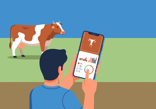 A man uses a smartphone to monitor a healthy cow's health data via an app. Modern farm scene, showcasing livestock health technology. Clean, bright, and informative.