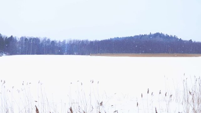 Frozen lake in winter. It's snowing heavily. Beautiful winter nature