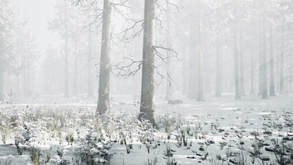 A serene forest scene captures tall, bare trees surrounded by soft, white snow. The landscape is shrouded in fog, creating a peaceful and quiet atmosphere reminiscent of wintertime. © icetray