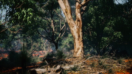 Sunlight filters through dense foliage, illuminating the textured bark of a tree. Nearby, vibrant undergrowth thrives in the peaceful ambiance of nature&rsquo;s embrace.