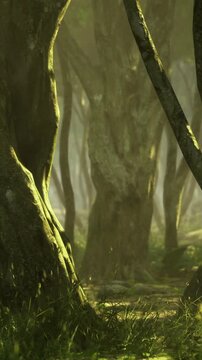 Mossy tree trunk bathed in light, sunbeams filtering through dense canopy, dewy undergrowth, textured bark detail, earthy tones, intimate woodland atmosphere,