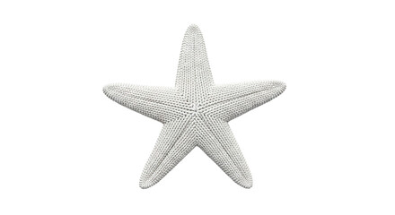 Obraz premium White Starfish Sculpture on White Background