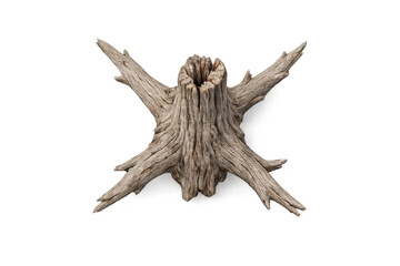 Fototapeta premium Realistic 3d depiction of a detailed tree stump with textures and shadows