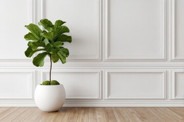 Fiddle Leaf Fig in White Pot Against Ornate White Wall with Parquet Flooring in Bright Studio Light