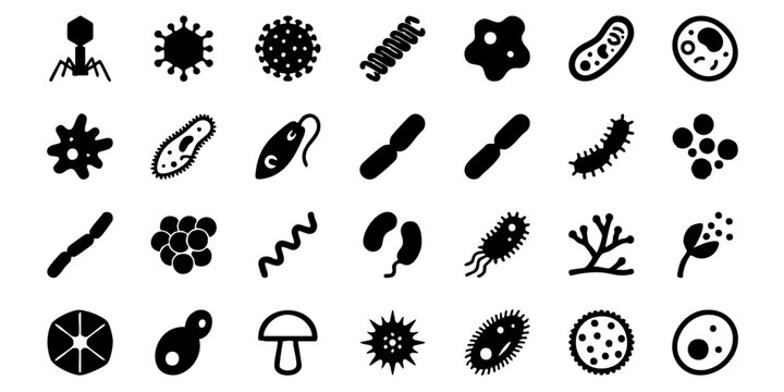 Collection of microorganisms and cells illustrated in a grid of black icons on a plain background