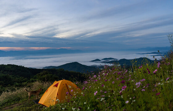 Camping in morning sun ray and winter fog at Doi Laem, Mea Ai in Chiangmai, Thailand 