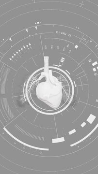 Cardiometabolic CKM Syndrome 3D Visualization: Integrated Heart, Kidney, and Pancreatic Health with 4D Flow MRI Data Overlays