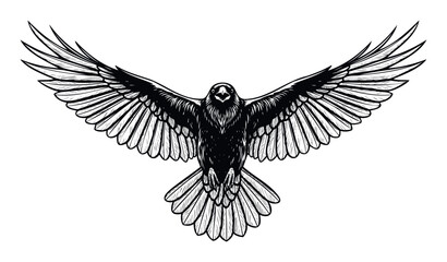 Obraz premium Majestic black crow or raven with powerful spread wings and open beak flying forward, suitable for a striking logo emblem or tattoo graphic print