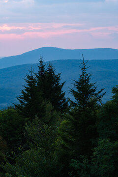 sunset scene of blue spruce fir evergreens in the foreground silhouette with layers of blue ridge mountains falling off into the distance
