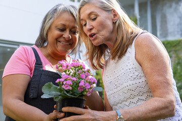 Obraz premium Diverse senior friends holding, inspecting potted kalanchoe plant outside residential patio