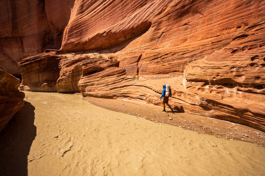 Man Wandering Along Muddy Canyon Waterway