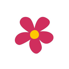 Fototapeta premium A pink daisy flower