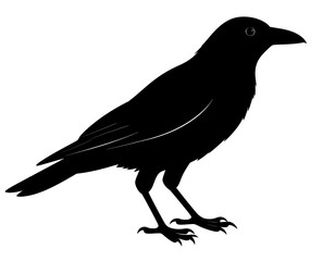 Obraz premium A black silhouette of a bird in profile