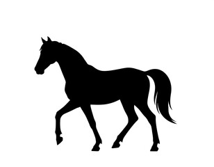 Obraz premium A black silhouette of a horse in motion against a white background