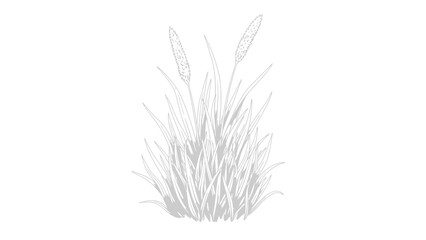 Fototapeta premium meadow grass cluster in premium illustration style, white