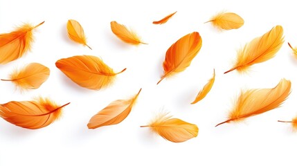 Yellow Feathers isolated against a white background. Floating feathers. Falling bird feathers. Bokeh. Motion blur. Bird, angel or demon feathers.