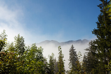 Take a morning hike through fog and sunbeams to the sunny summit of Schweinsberg in Bavaria, Germany.