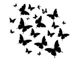 A cluster of black butterfly silhouettes on a white background