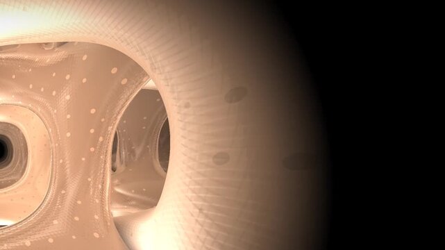 Resorption Images – Browse 973 Stock Photos, Vectors, and Video | Adobe ...