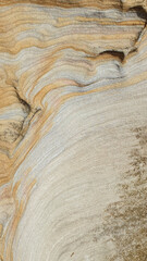 sandstone sedimentary rock natural pattern texture background