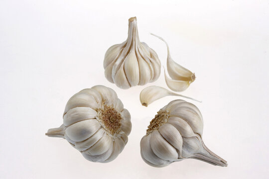 garlic on a white background
