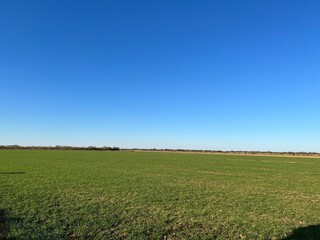 Obraz premium green field and blue sky
