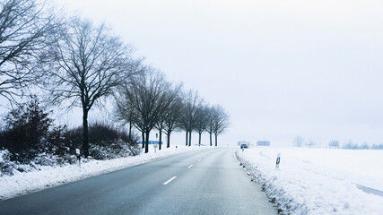 Fototapeta premium Trees have fallen in the forest due to snow, trees are lying on the roads, roads are closed, snow chaos in Germany, shoveling snow, snow in the forest, snow on the cars, snow in the village