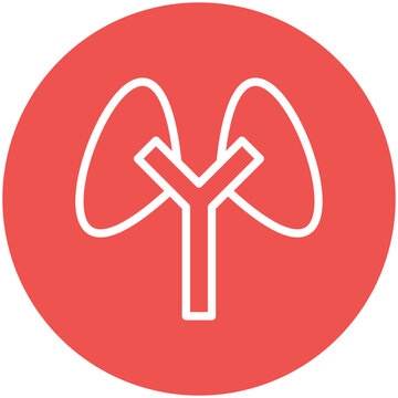 Kidney Function Icon