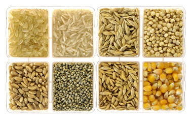 various kinds of lentils