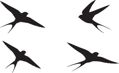 Fototapeta premium Print