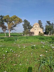 church in the village