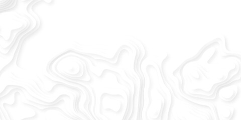 Papercut layers and paper cut topography vector art background banner texture. Abstract white paper cut background with realistic shapes. Modern vector illustration for concept design.