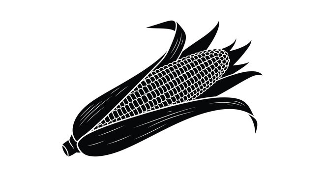 A detailed black and white illustration depicts a single ear of corn with husk leaves creating a striking silhouette