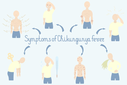 Chikungunya fever symptoms. Handwritten text. Color vector illustration. Muscle pain, conjunctivitis, joint pain, headache, nausea, vomiting, rash, fever, and fatigue.  Flat style. 