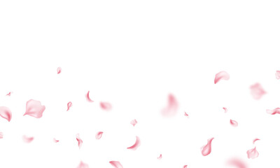 Pink flower petals fall onto an abstract floral background, a beautiful floral pattern on a greeting card. Vector illustration.