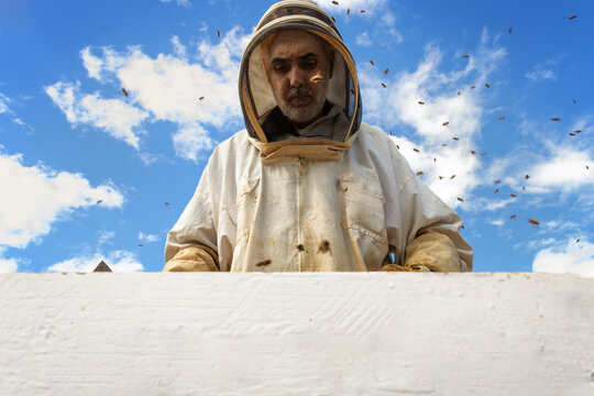 Beekeeper working in a hive under a blue sky and wearing protective gear