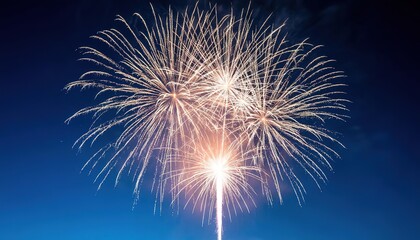 fireworks against a dark blue sky.