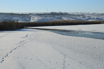 A snowy field with a road and trees