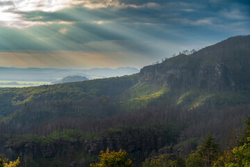 Fototapeta premium Hrensko, Czech Republic, Bohemian Switzerland National Park three years after a massive forest fire. The landscape shows dead tree trunks and active regeneration with new greenery under cloudy skies.