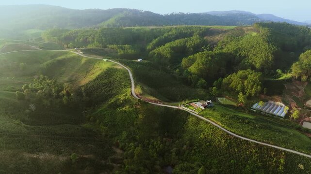 High-Altitude Arabica Coffee Farm Aerial: Lac Duong, Lam Dong Province
the unique topography of the Central Highlands, where coffee is grown on steep slopes to ensure drainage and quality. 