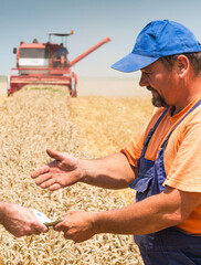 Human hand holding Euro banknote with harvest wheat field in background