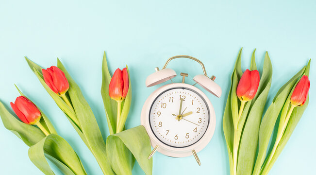 Switch to daylight saving time in spring, summertime changeover, alarm clock with red tulip flowers