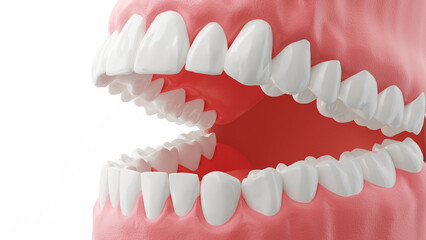 Obraz premium Healthy human teeth 3D illustration.