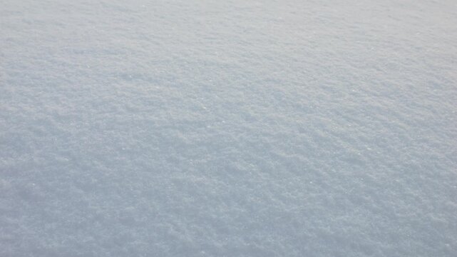 Soft white snowdrifts create a peaceful winter texture. Sunlight highlights the gentle bumps and natural curves of the snow surface. A serene and cold weather background perfect for seasonal projects.