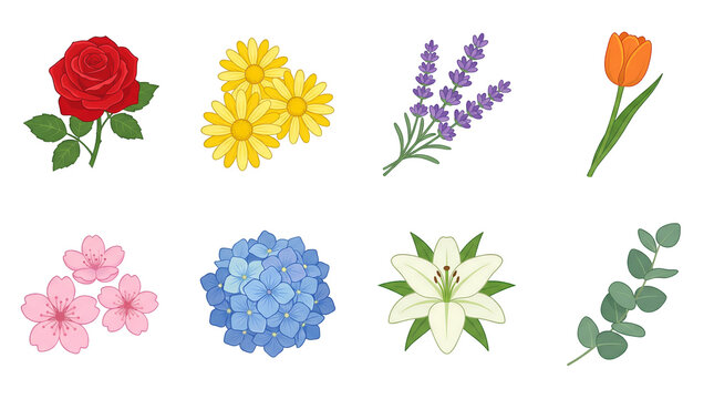 Spring flower collection set including rose, daisy, lavender, tulip, cherry blossom, hydrangea, lily, and eucalyptus isolated. Floral botanical illustration for greeting cards and wedding invitations.
