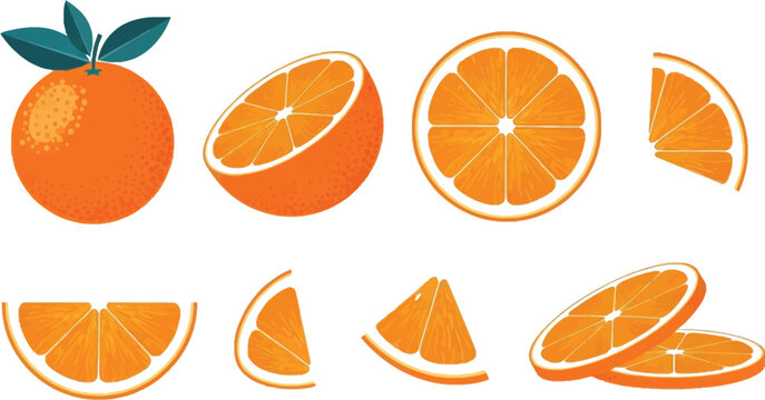 Vibrant orange slices and whole fruit vector set