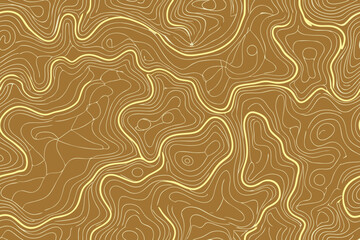 Abstract topographic map background with contour lines vector geographic terrain relief.